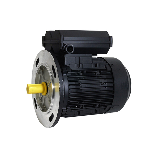Motor eléctrico B5